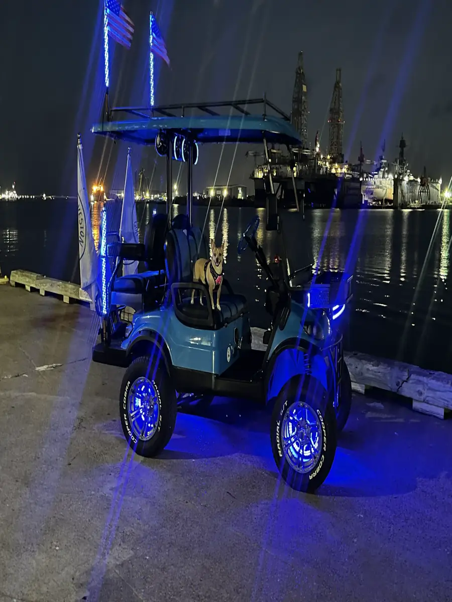 Blue golf cart and dog near the Galveston harbor
