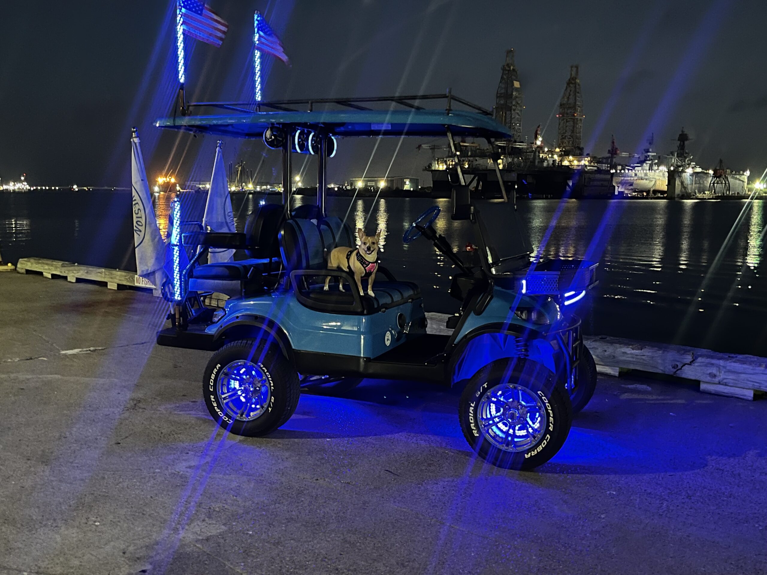 Blue golf cart and dog beside the Galveston harbor